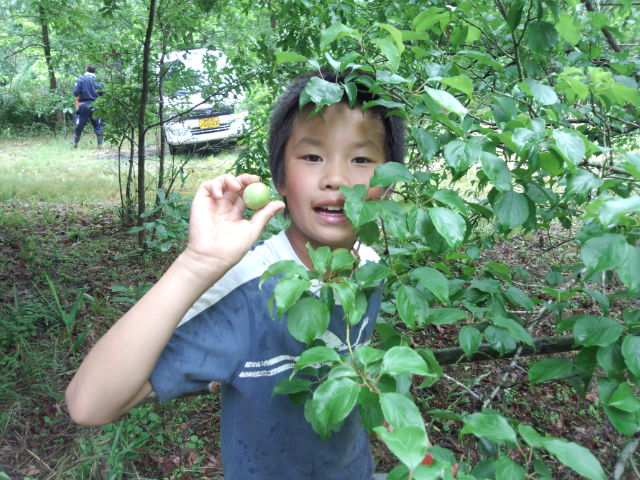 和水町の風景（8）