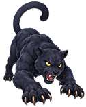 ブラックタイガーの顔画像