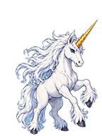ソードホーンの顔画像