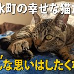 サムネイル 復元